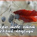 ���� �������, ����-�����������, 65 ��� - ��������� 20 ������� 2015 � ������ �������� ��������