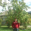 ���� �������, �������, 54 ���� - ��������� 20 ������� 2015 � ������ ���� ����������