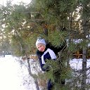  ,  -  31  2016     .....