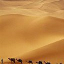 ���� �e� �, ������, 55 ��� - ��������� 20 ������� 2015 � ������ ������ ��������