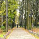 ���� ��������, ������ - ��������� 25 ������� 2015 � ������ �������� ������