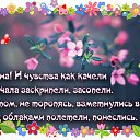 ���� Pet, ������������, 54 ���� - ��������� 24 ������ 2015 � ������ �������� ��������