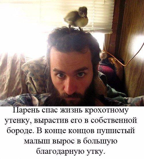 ...      - 6