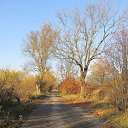 ���� ��������, �����������, 57 ��� - ��������� 31 ������� 2015 � ������ ��������