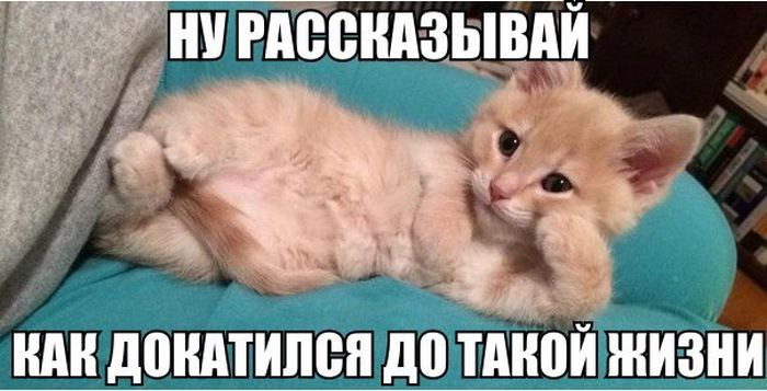   - 15  2016  18:11