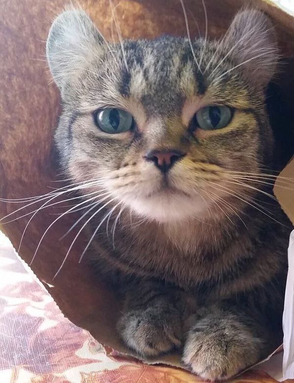  :3