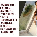  , --, 39  -  6  2015    