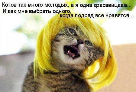 ������ - 24 ������� 2016 � 21:47