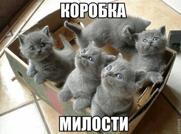 �������� �������� - 20 ������� 2015 � 21:38