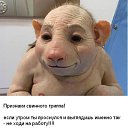 ���� Oleg, �����, 38 ��� - ��������� 6 ������� 2016 � ������ ������ ��������