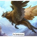 ���� ����, ������, 41 ��� - ��������� 5 ������ 2015 � ������ ������ ��������