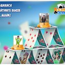 ���� Vladimir, ����-���������, 56 ��� - ��������� 20 ������ 2016 � ������ �������� �������-�������