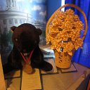 ���� ����� �, �����, 55 ��� - ��������� 14 ������� 2015 � ������ ���� ������