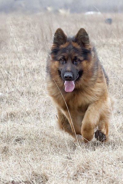 ������ ������ - 28 �������� 2015 � 21:05