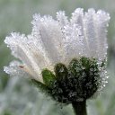  ••,  -  15  2015   