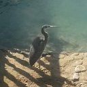 ���� ������, ���������, 45 ��� - ��������� 12 ������� 2015 � ������ �������....�������