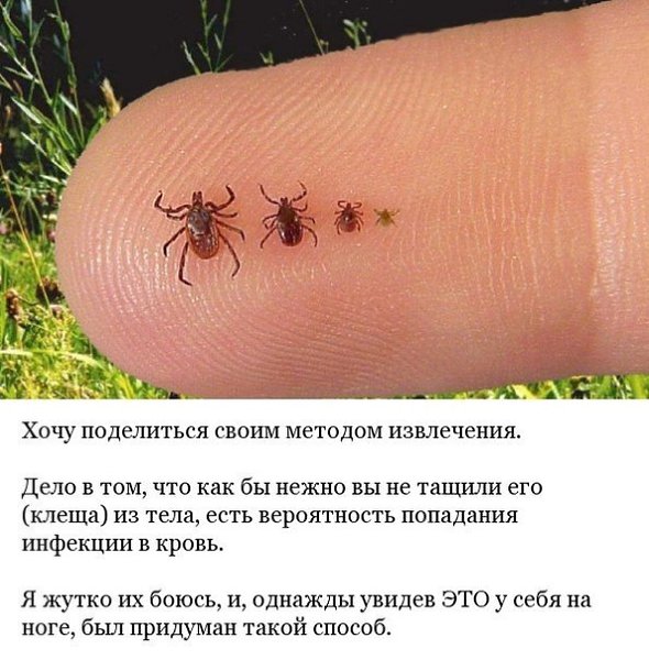 ���������� � ������� ����� ���������� ������