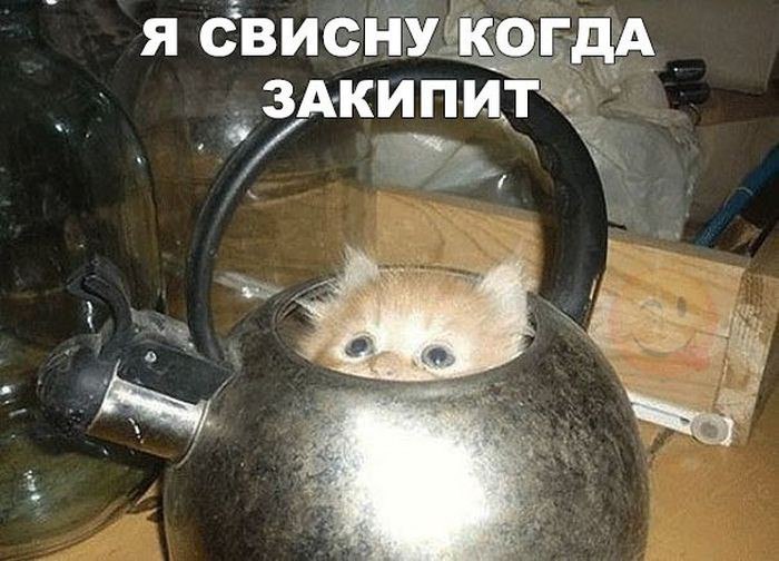  - 06.02.2016))) - 4