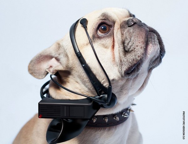 No More Woof — устройство для чтения собачьих мыслей.Команда разработчиков Nordic Society for ...