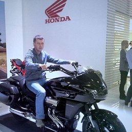 ����, ���������, 36 ���