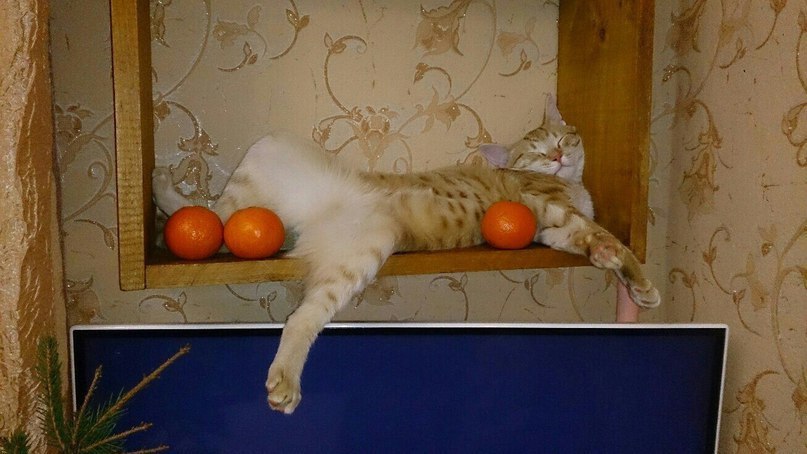 .....   , !!!)))