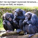 ���� ��������, ������, 53 ���� - ��������� 1 ������� 2015 � ������ ������ ��������