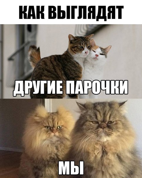   - 2  2016  06:35