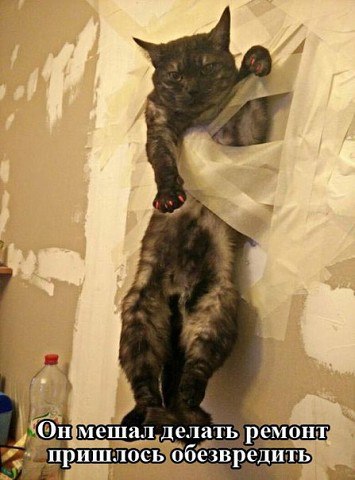 ***Victoria Viktorovna*** - 23  2016  12:01