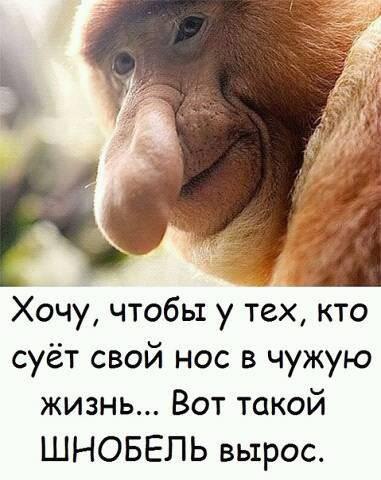 ��� ���� - 4 ����� 2016 � 20:49