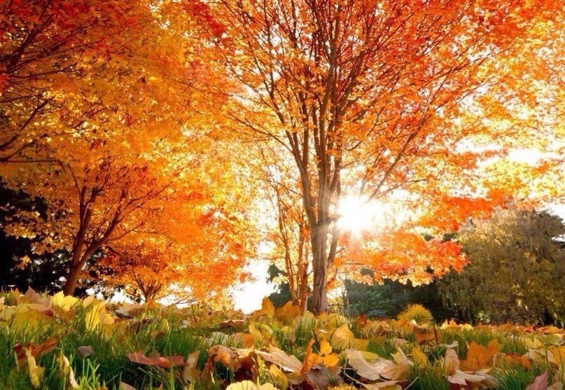 ���������� �����.#������������@https://fotostrana.ru/away?to=/sl/XE2