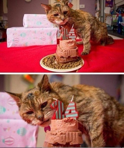    24 !   !