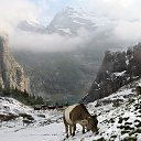  ,  , 60  -  13  2015    