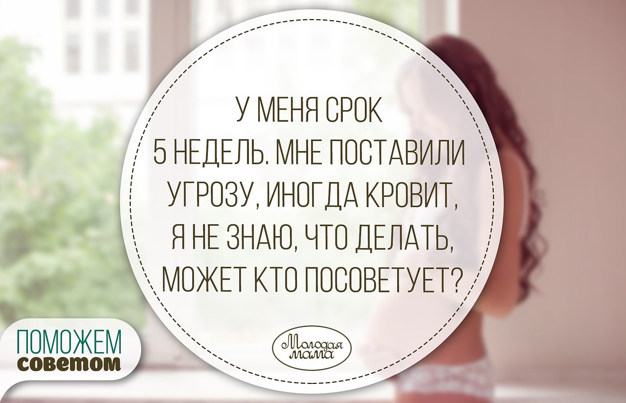 У меня срок 5 недель мне поставили угрозу, иногда кровит я ... | Моя ...
