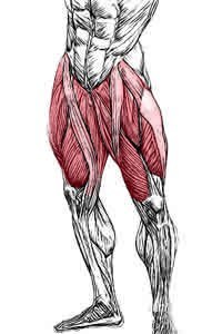   - .        : ,   ...