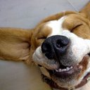  , -, 57  -  10  2016    