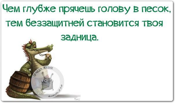   - 23  2015  19:19