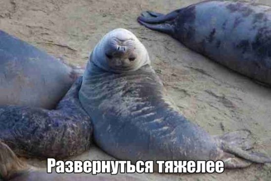 ***Victoria Viktorovna*** - 22  2016  14:22
