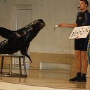  Valentina,  -  4  2015   