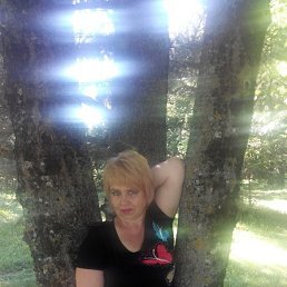 ���� ������, ����������, 61 ��� - ��������� 22 ������ 2016