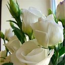 ���� ����/������, ������ �����, 72 ���� - ��������� 6 ����� 2016 � ������ ���� ����������