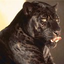 ���� ����, ��������, 41 ��� - ��������� 1 ������� 2015 � ������ ���� ����������