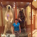 ���� �������, ������� - ��������� 4 ������� 2015 � ������ ���� ����������