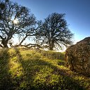 ���� ����, ��������, 51 ��� - ��������� 27 ������� 2015 � ������ ���� ����������