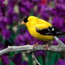  ••,  -  31  2015   