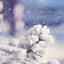  @@@  @@@,  -  19  2015    Ļ