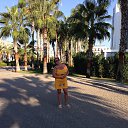 ���� ������� 2015 � �� ������� ������ ������-������� 2022 ����������