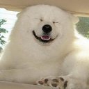  Marina, , 65  -  9  2016    