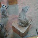 ���� �����, ��������, 47 ��� - ��������� 2 ������ 2016 � ������ ���� ����������