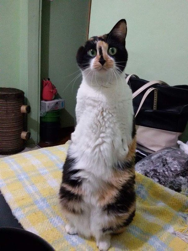  - ,        .   ,     ...