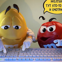 ���� ����, ���, 41 ��� - ��������� 2 ������ 2015